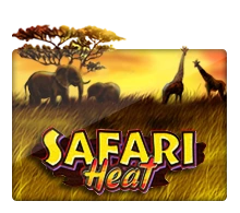 Joker123 : Safari Heat - KINGBET189