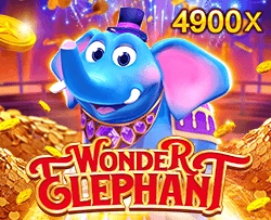 JDB : Wonder Elephant - KINGBET189