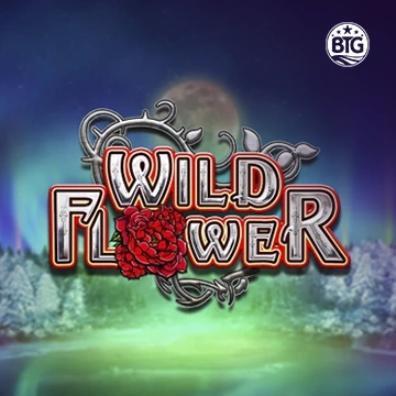 Bigtime : Wild Flower - KINGBET189